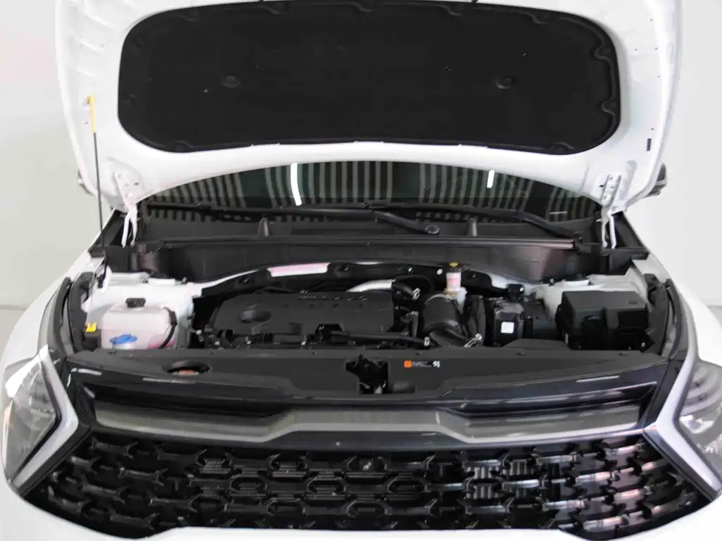 KIA LION PLATINUM EXPANDS THE WORLD