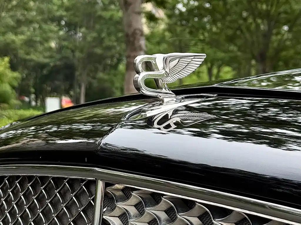 Bentley Mulsanne — миниатюра 22