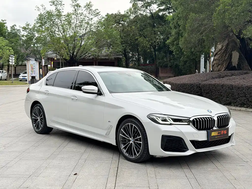BMW 5 Series 5 2022 530Li Lead M Sport