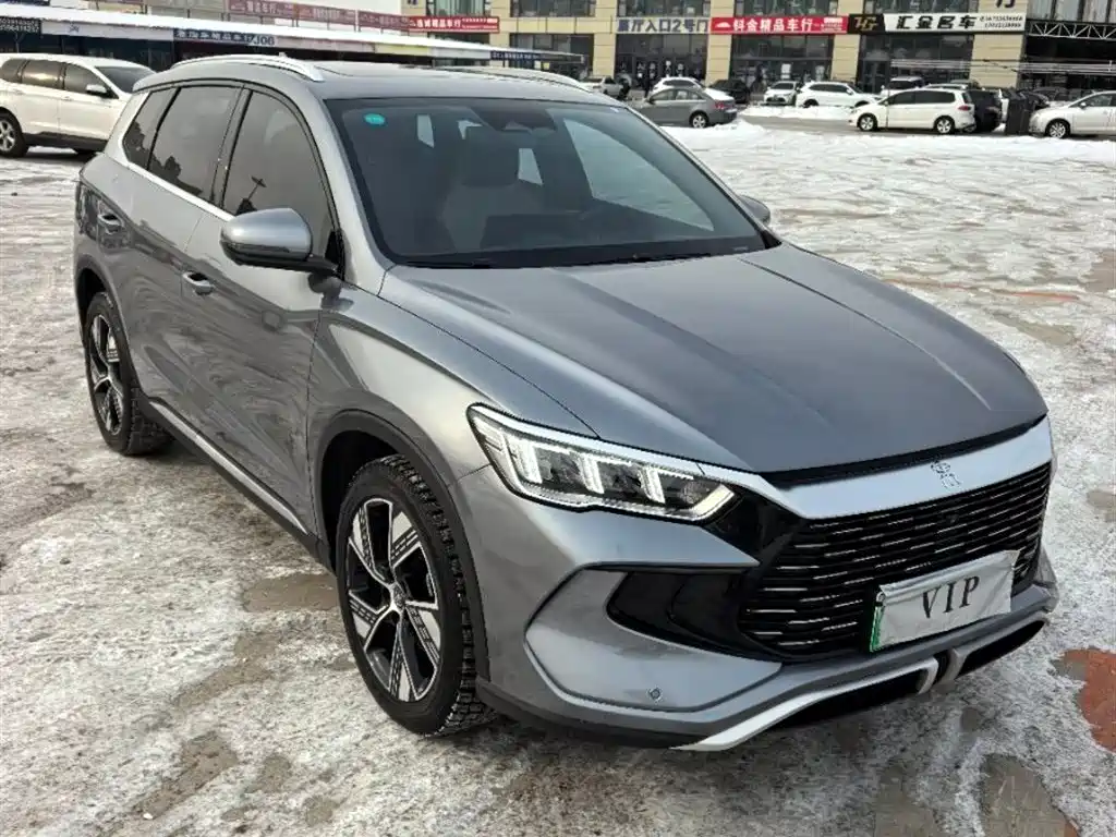 BYD SONGJIANG NEW ENERGY