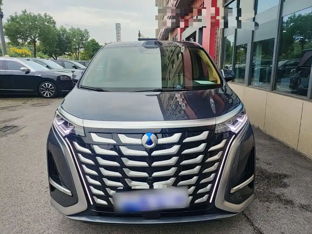 Denza Denza D9 — миниатюра 3