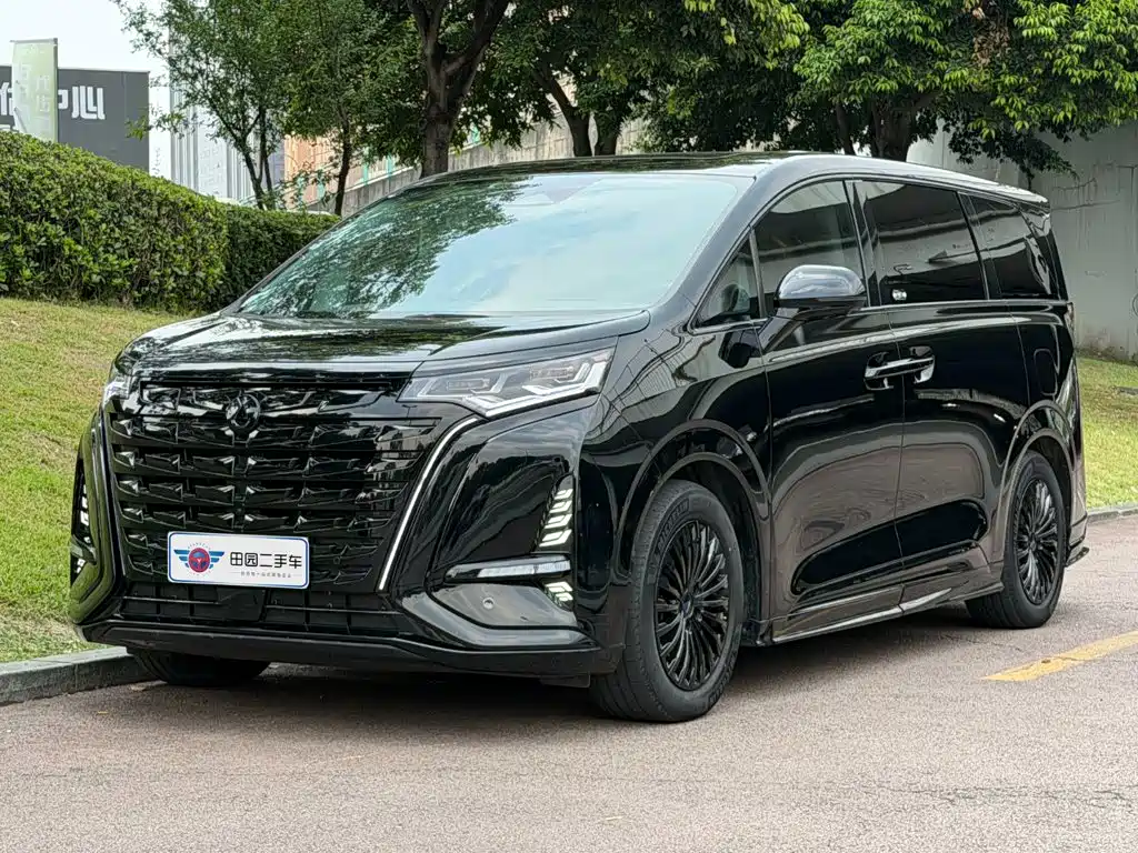 Denza Denza D9