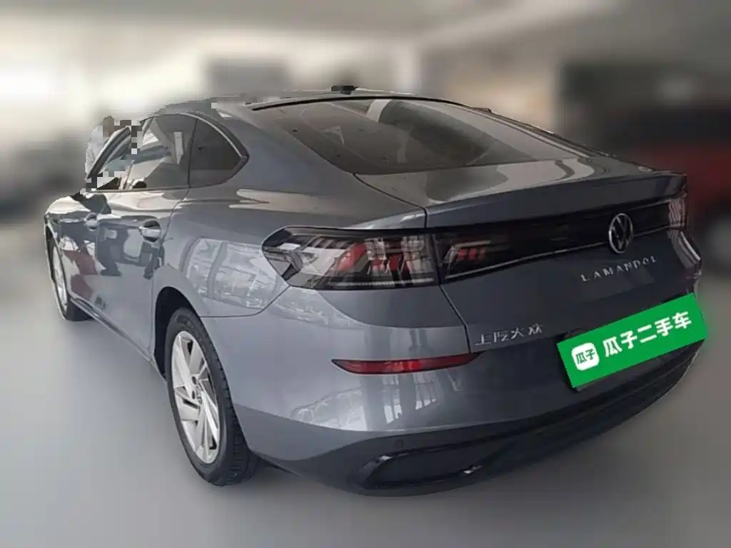 Volkswagen Lamando — миниатюра 7