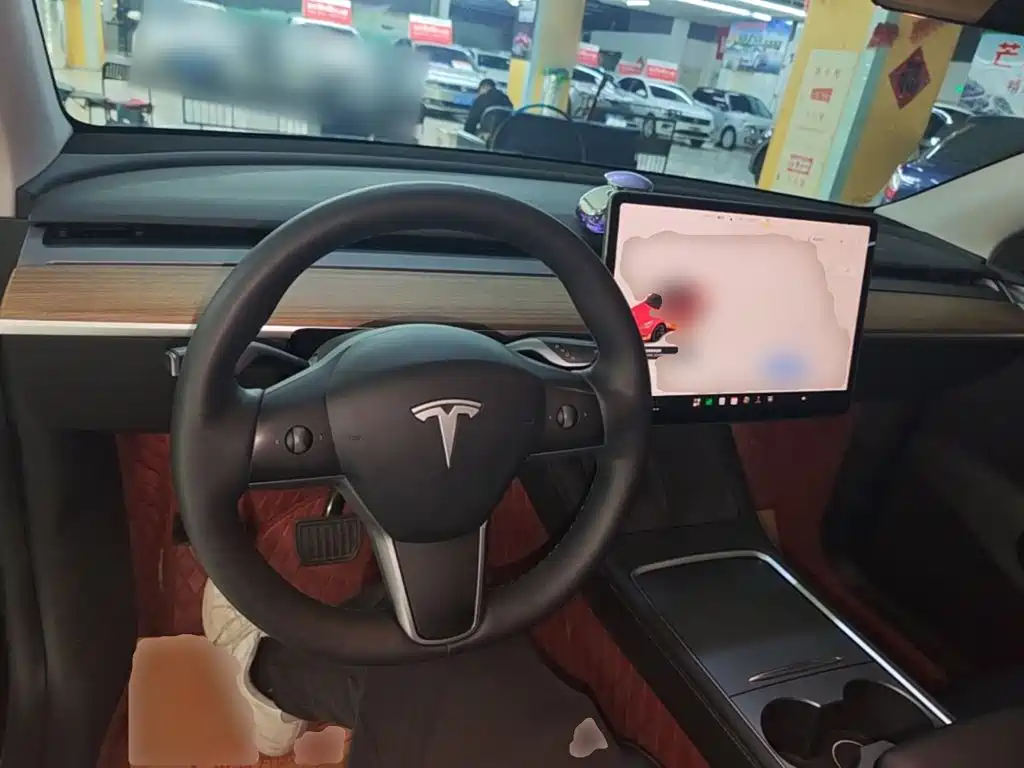 Tesla Model Y — миниатюра 10