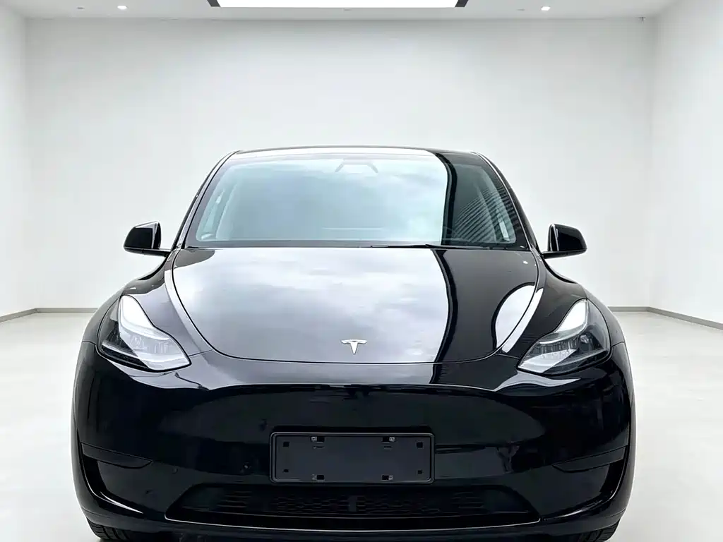Tesla Model Y — миниатюра 3