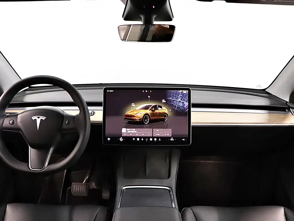 Tesla Model Y — миниатюра 18
