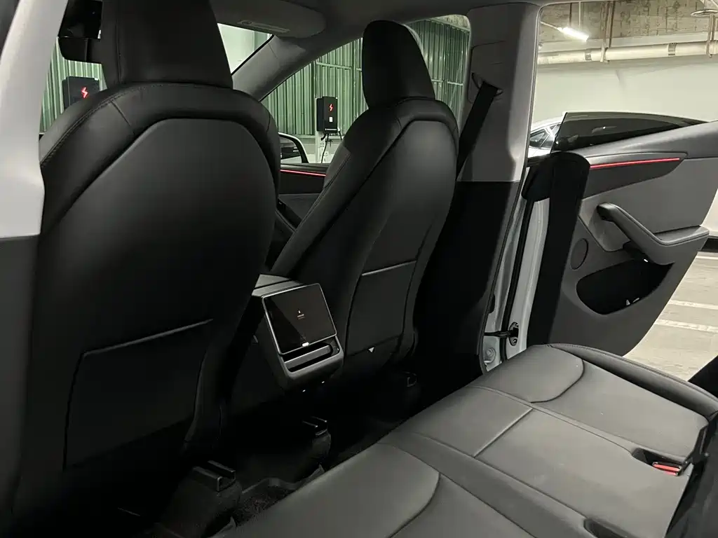 Tesla Model Y — миниатюра 25