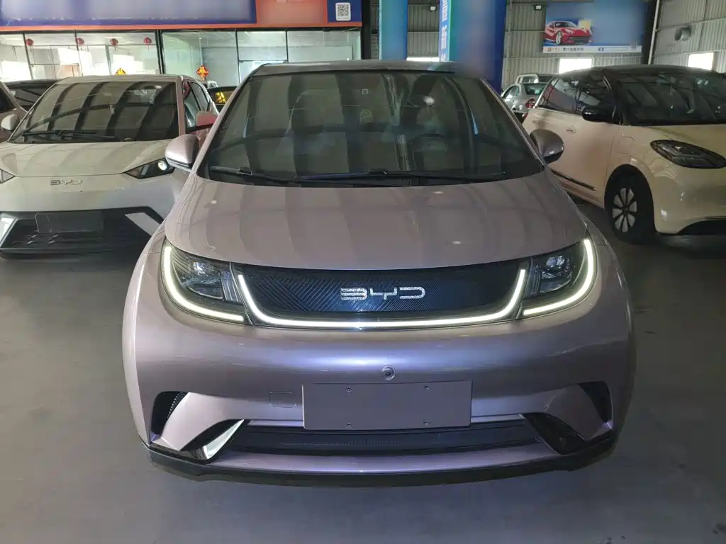 BYD Dolphin — миниатюра 3