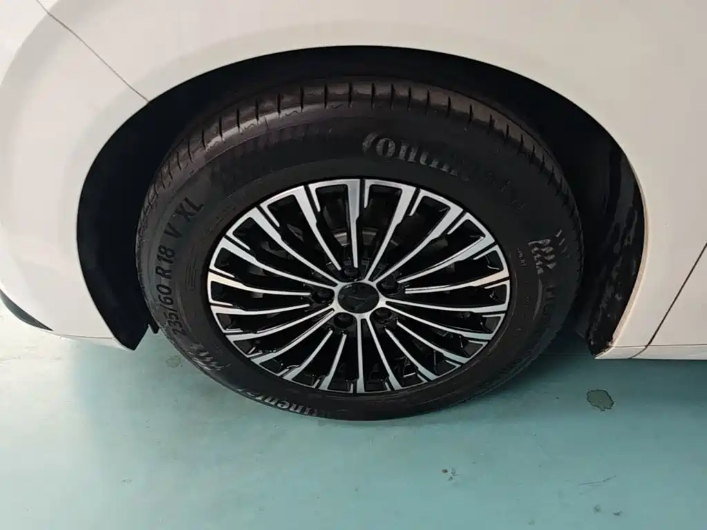 Denza Denza D9 — миниатюра 23