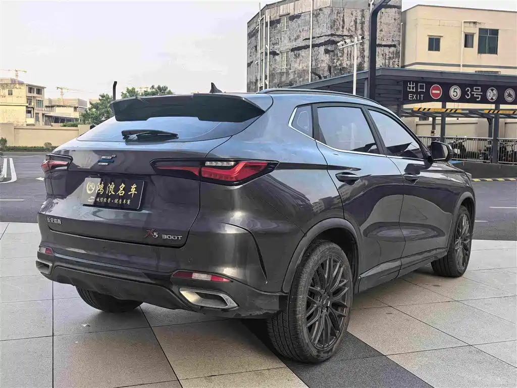 Oshan Oushang X5 — миниатюра 8