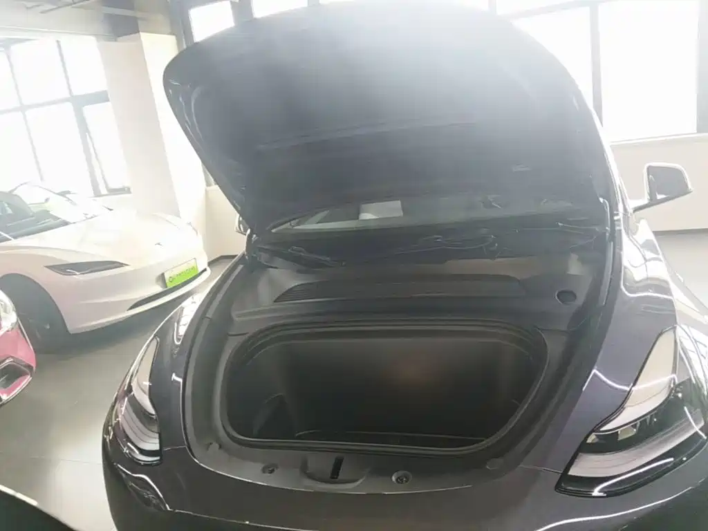 Tesla Model Y — миниатюра 20