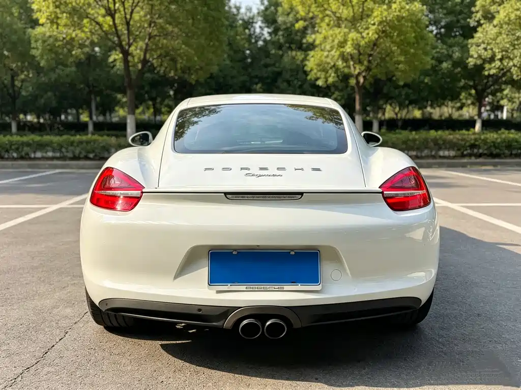 Porsche Cayman — миниатюра 8