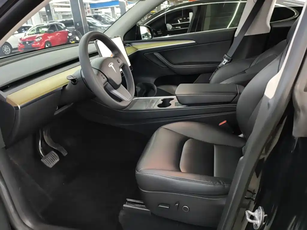 Tesla Model Y — миниатюра 15