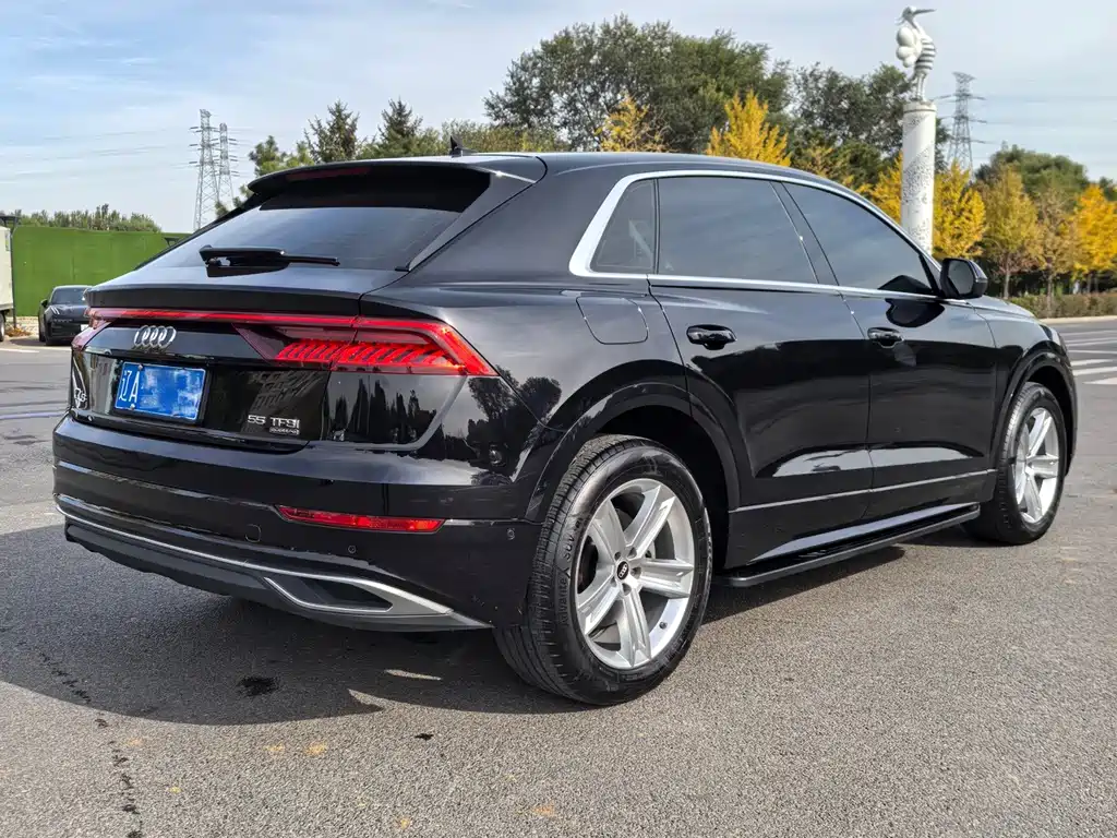 Audi Q8 — миниатюра 12
