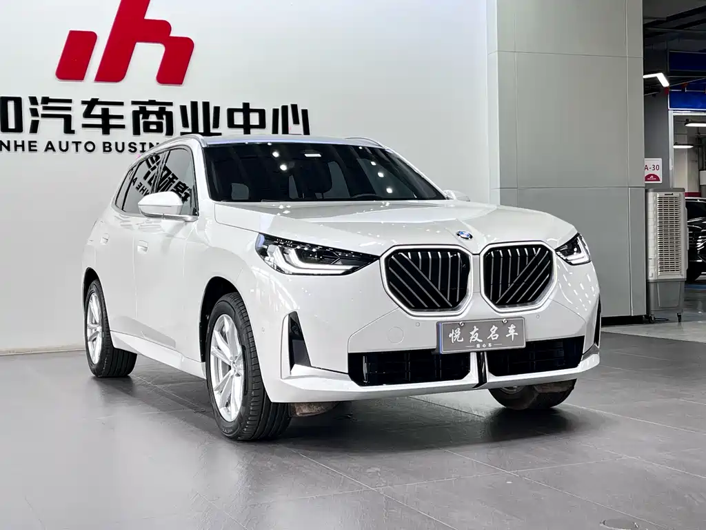 BMW X3 — миниатюра 3