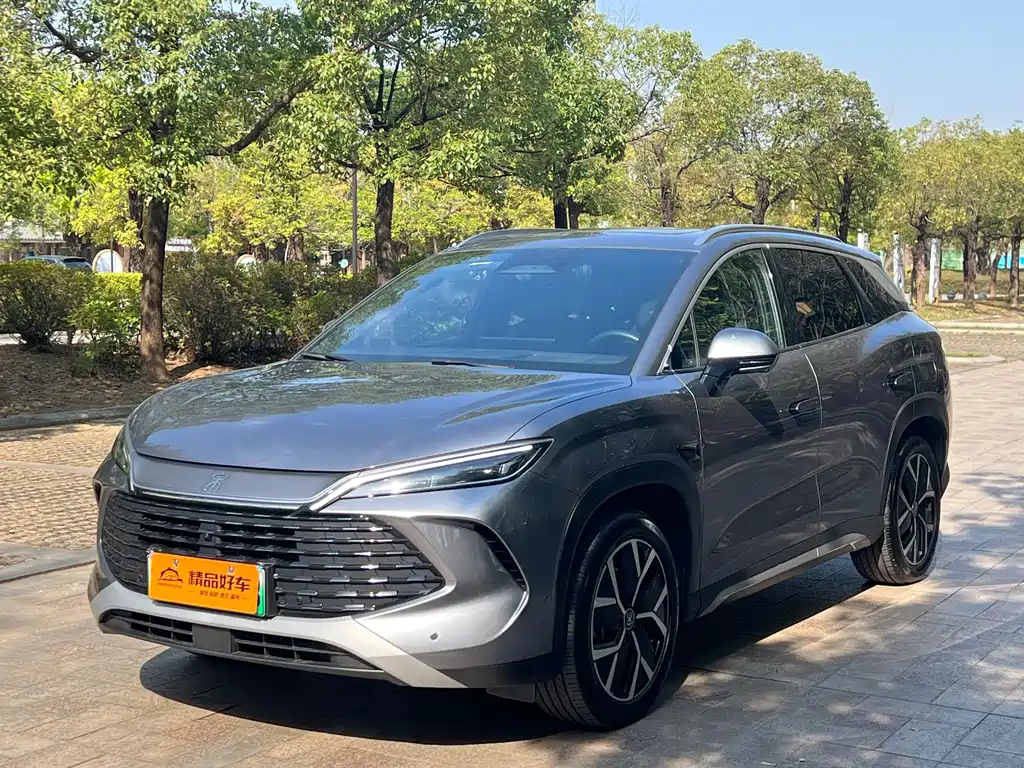 Byd L DM-i 2025