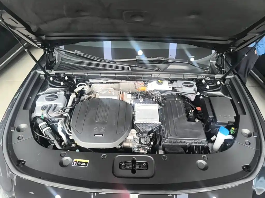 Hongqi Hongqi H5 PHEV — миниатюра 20