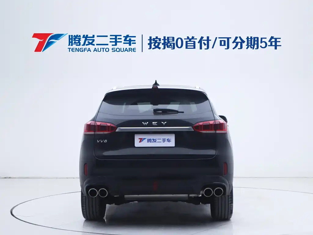 WEI PAI WEI BRAND VV6