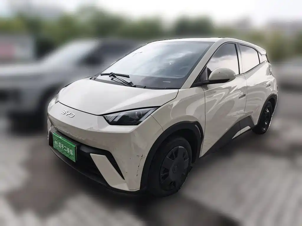 BYD Seagull