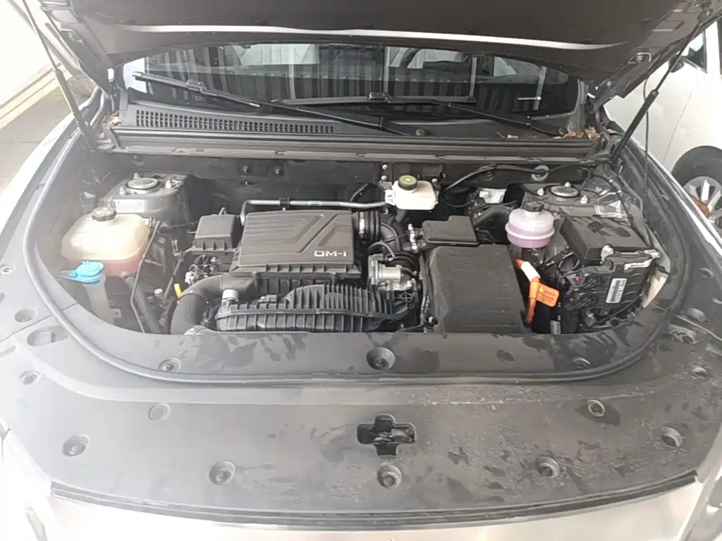BYD Pro New Energy — миниатюра 20