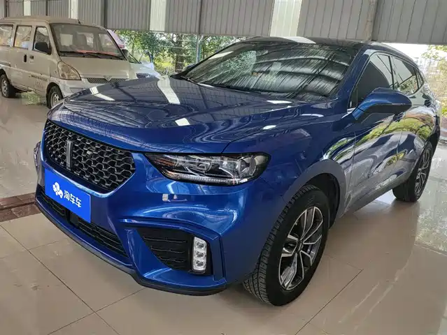 WEI PAI WEI BRAND VV5 2021