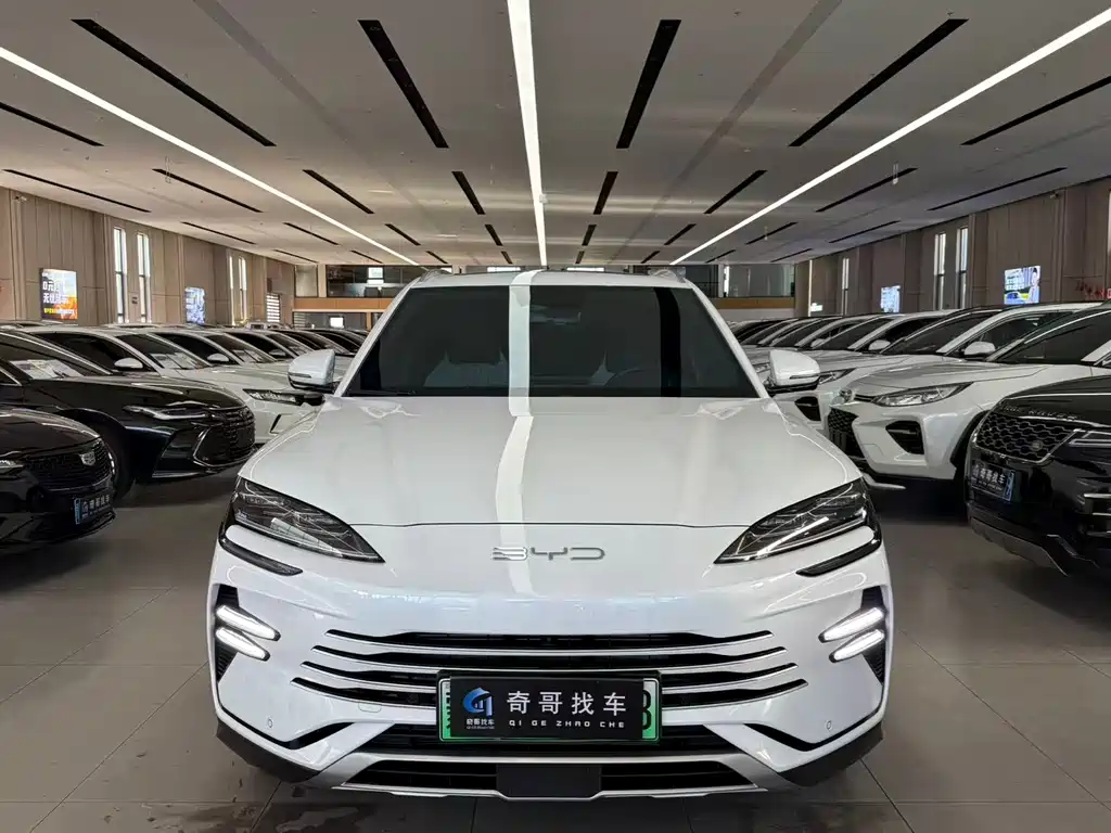 BYD SONGJIANG NEW ENERGY