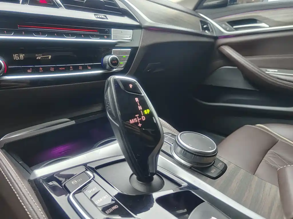 BMW 5 Series 5 2019 530Li Lead Luxury