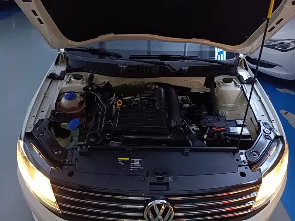 Volkswagen Gran Lavida — миниатюра 20