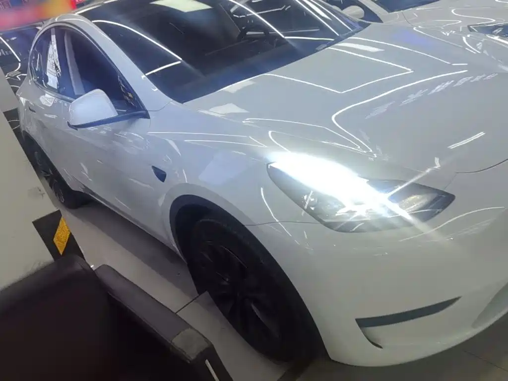 Tesla Model Y — миниатюра 4
