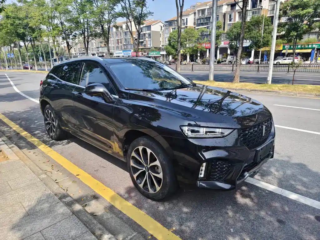 Wey Wey VV7 — миниатюра 3