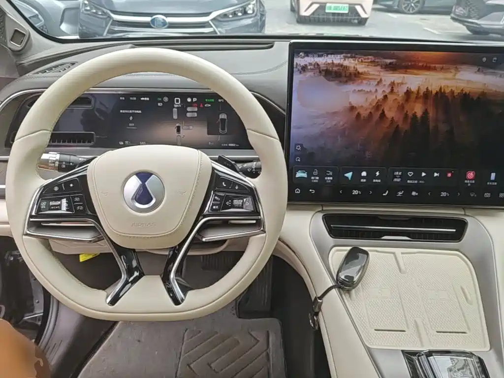 Denza Denza N7 — миниатюра 10