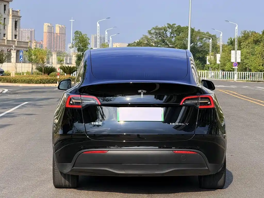 Tesla Model Y — миниатюра 8