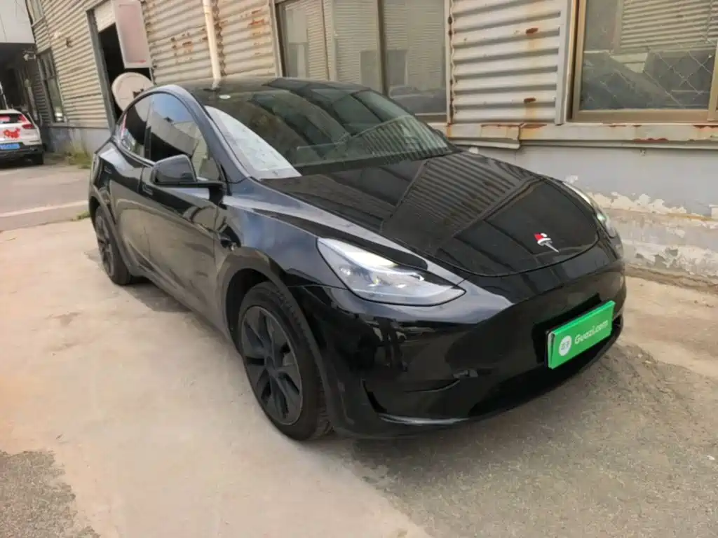 Tesla Model Y — миниатюра 4