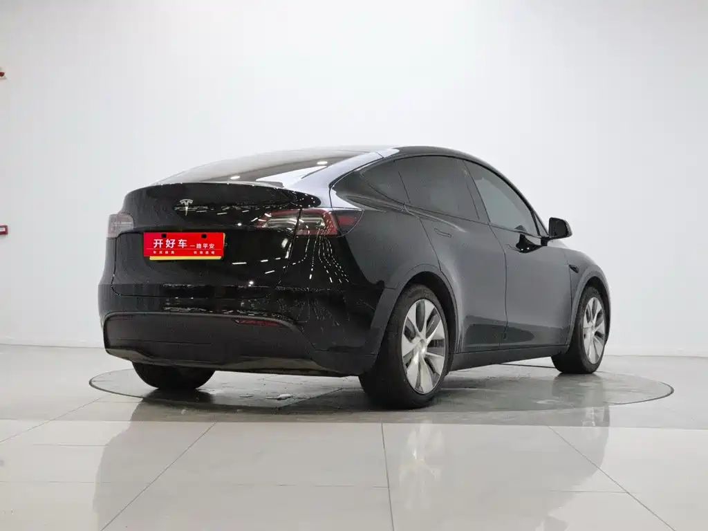 Tesla Model Y — миниатюра 4