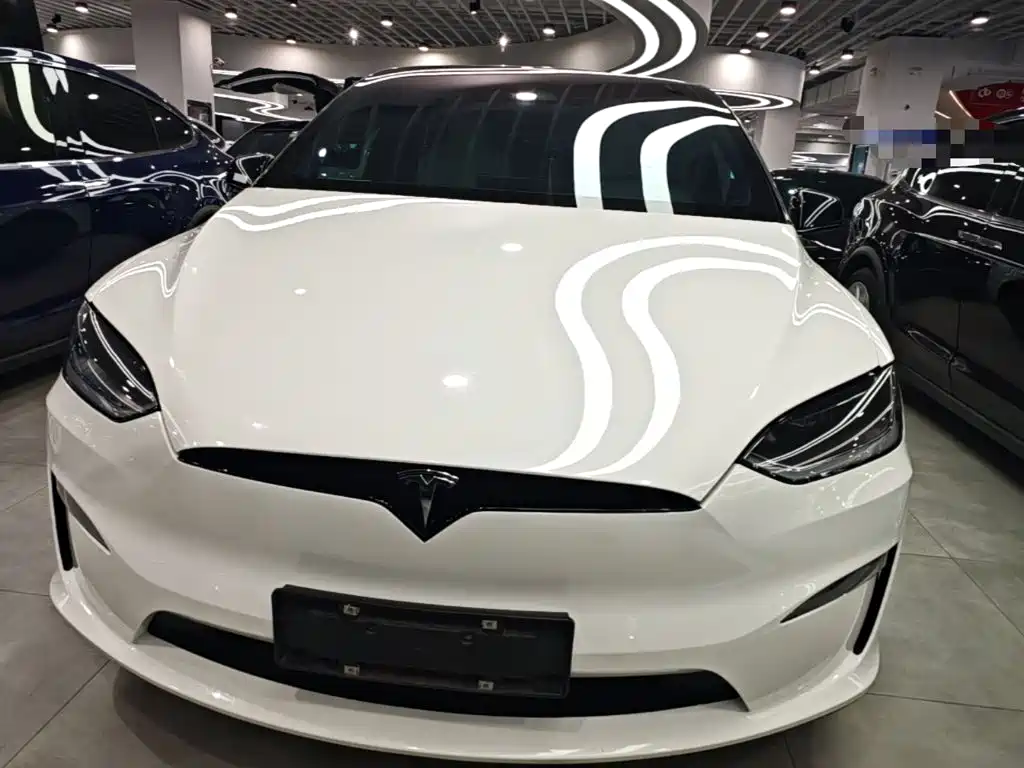 Tesla Model X — миниатюра 3