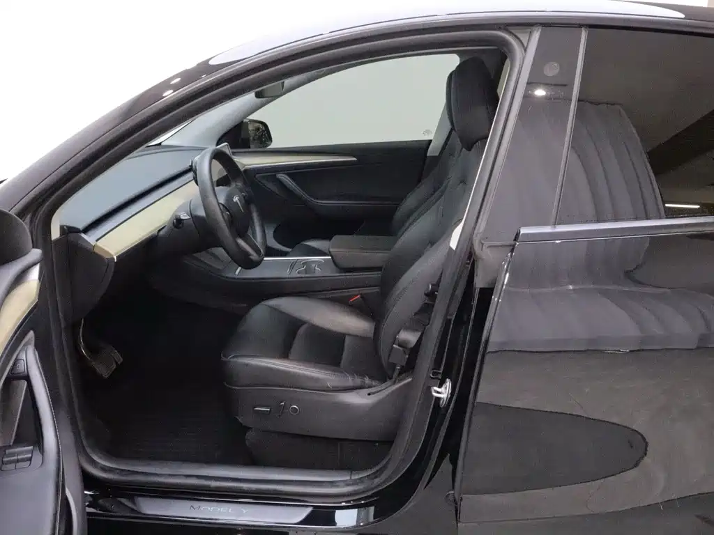 Tesla Model Y — миниатюра 10