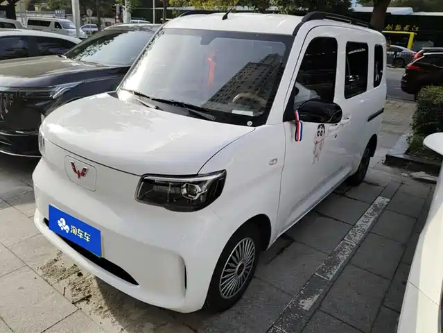 WULING AUTOMOBILE WULING ZHIGUANG NEW ENERGY