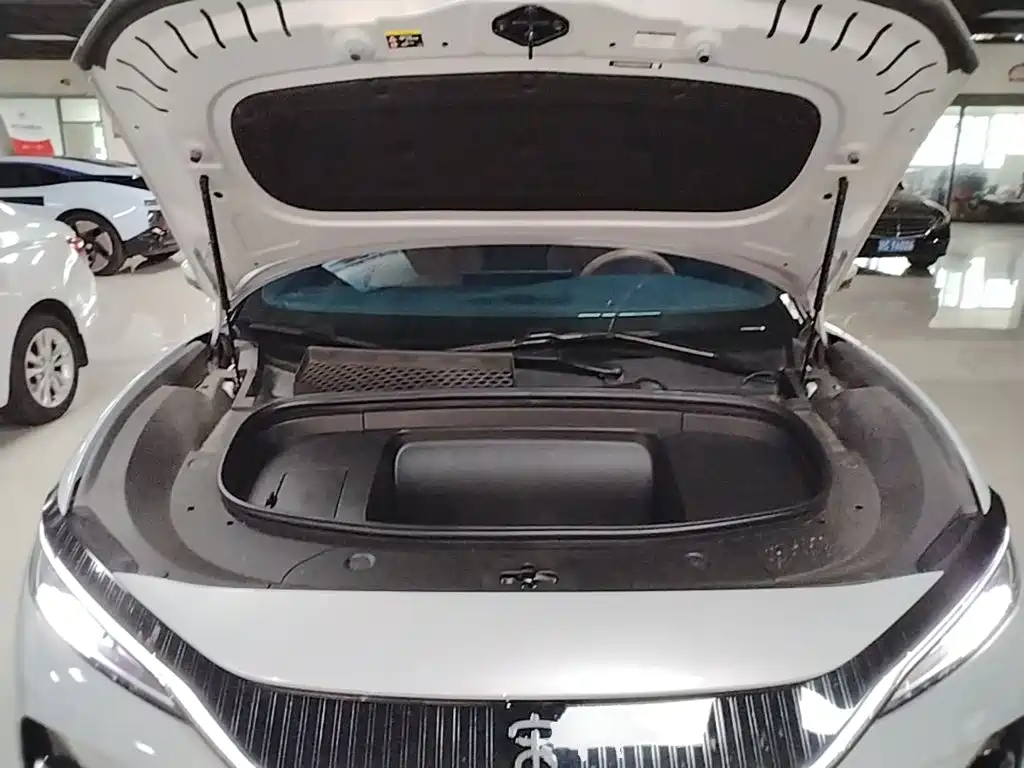 BYD L EV — миниатюра 20