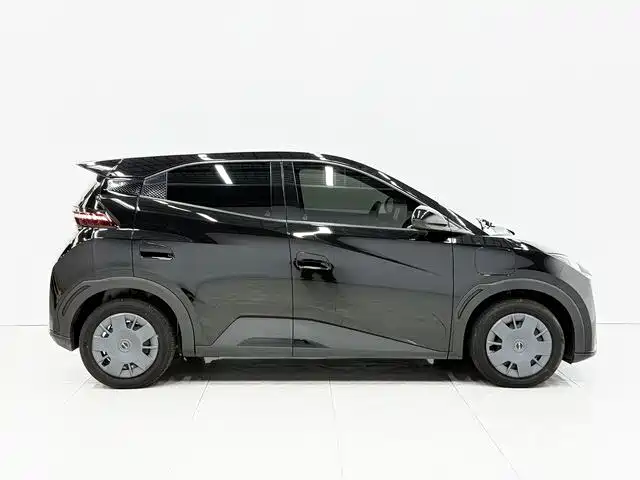 BYD Seagull 2025 305km