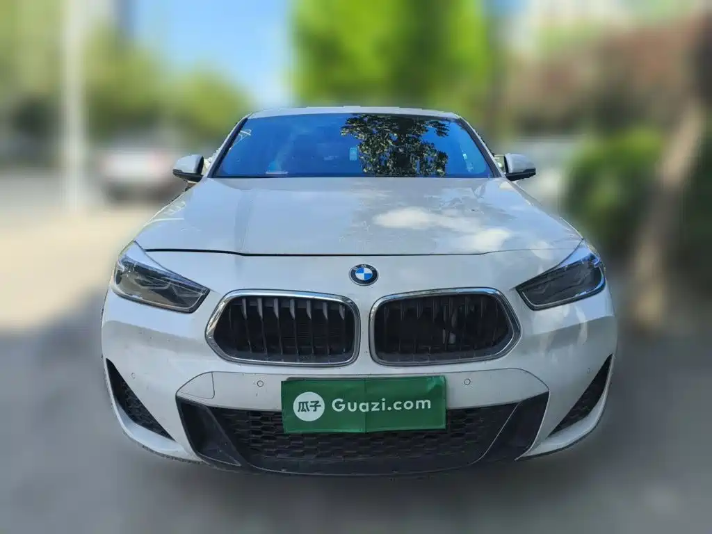 BMW X2 — миниатюра 2