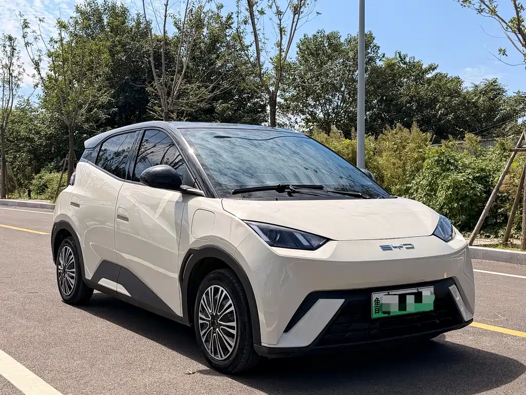 BYD Seagull — миниатюра 3
