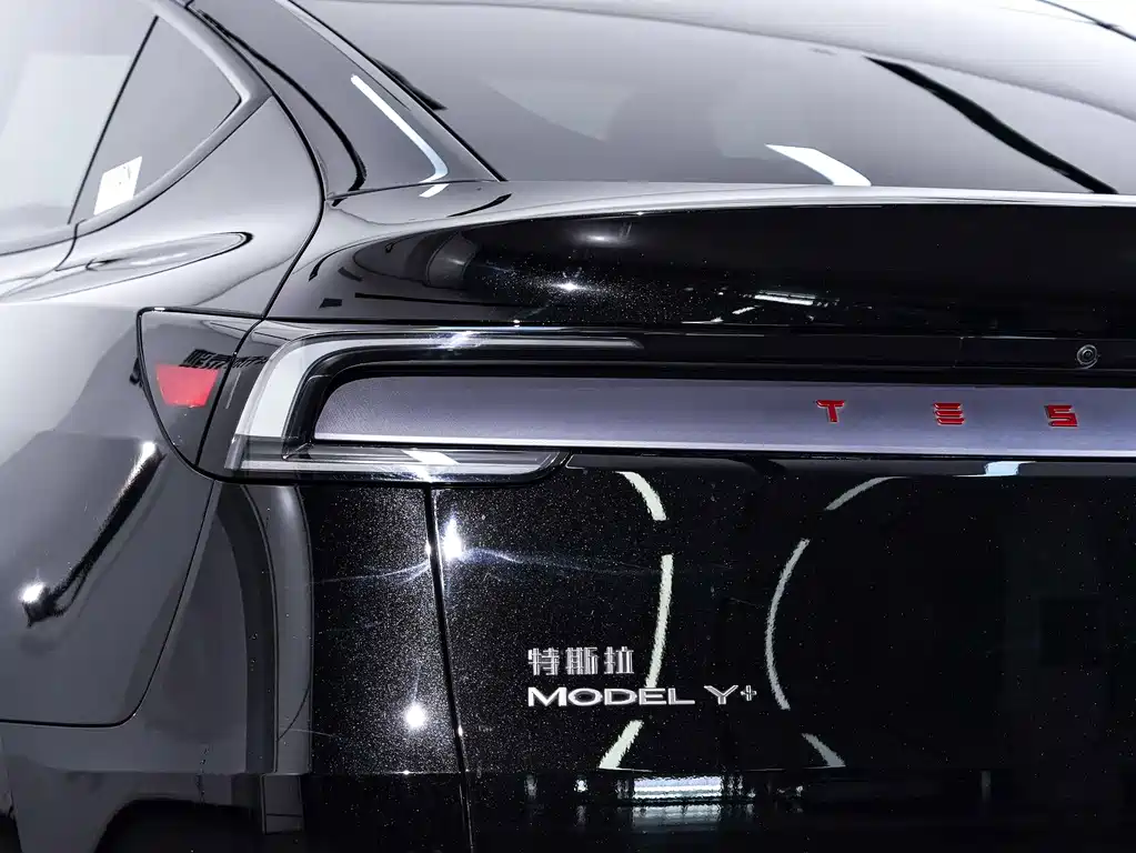 Tesla Model Y — миниатюра 31