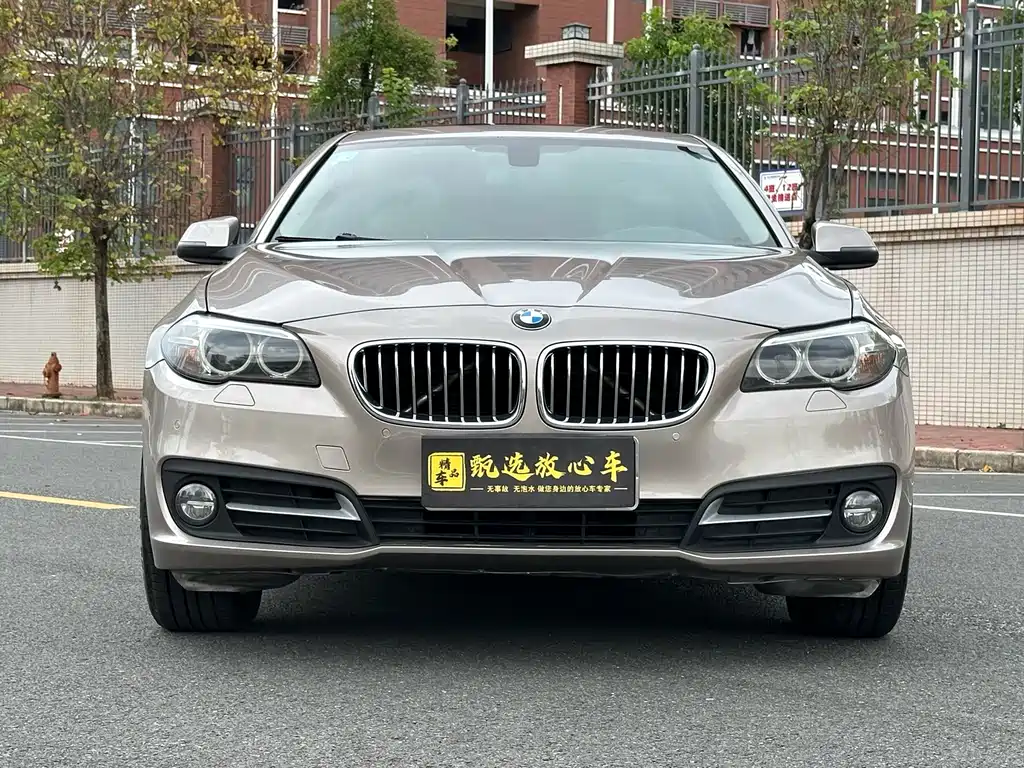 BMW 5 Series — миниатюра 2