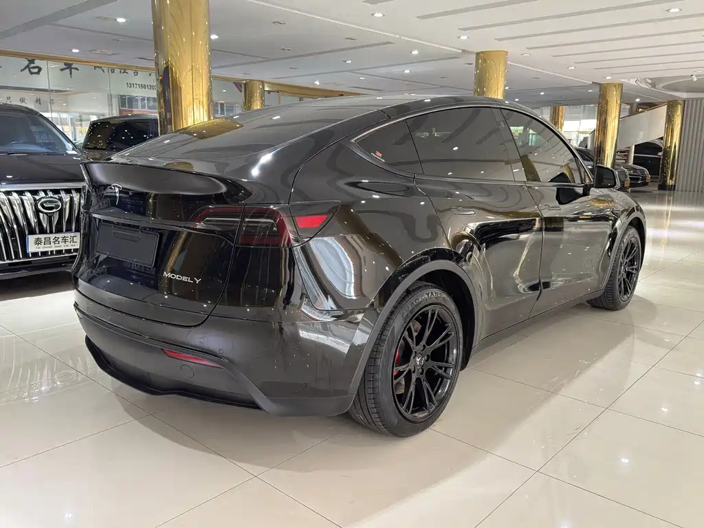 Tesla Model Y — миниатюра 6