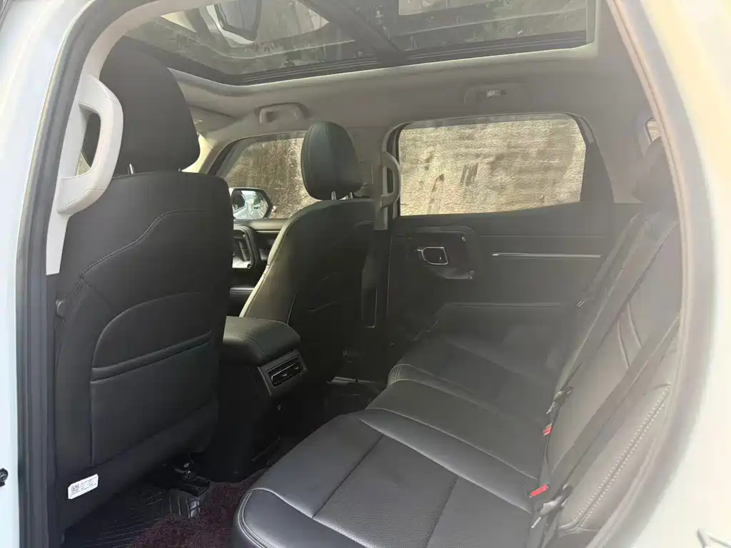 Haval Big Dog PLUS — миниатюра 3