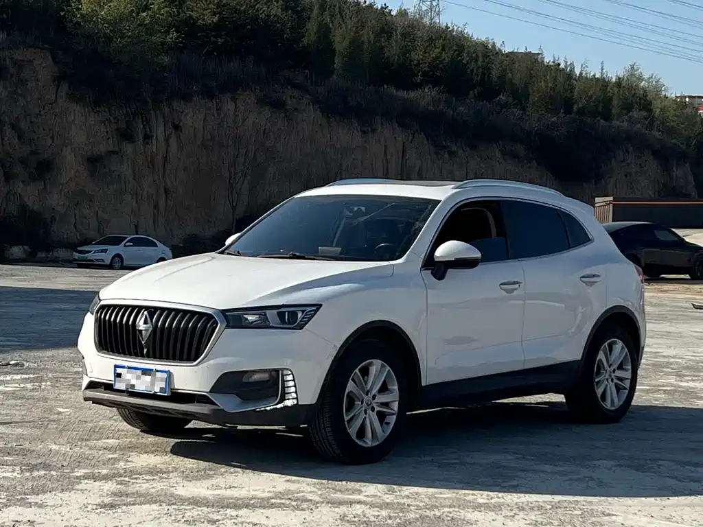 BORGWARD BAOWO BX5