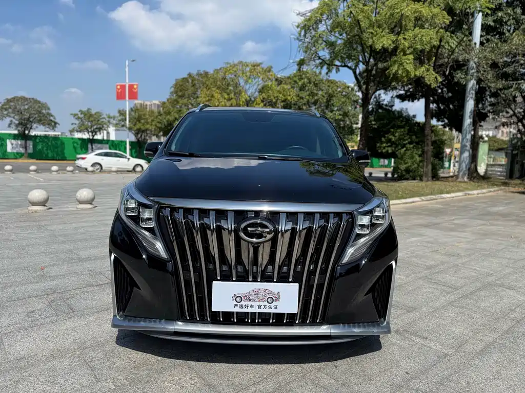 GAC Motor Trumpchi M8 — миниатюра 2