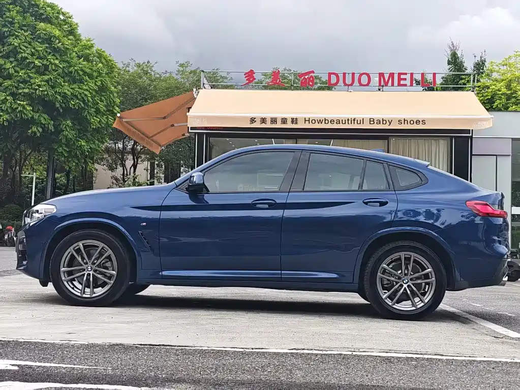 BMW X4 2019 xDrive25i M Sport