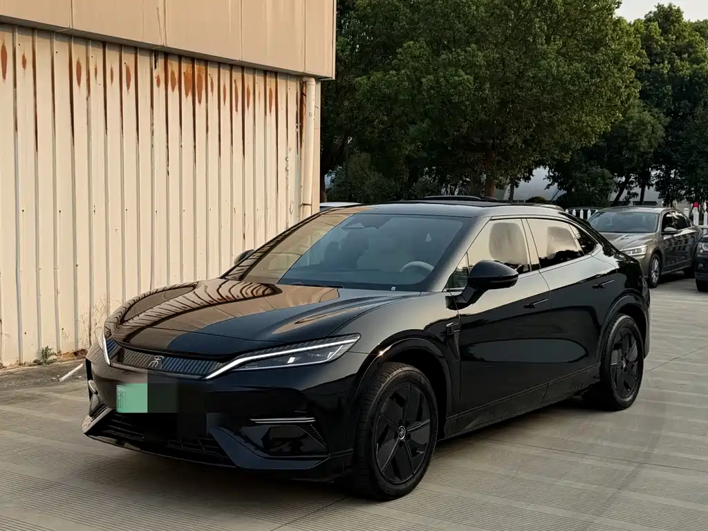 BYD L EV