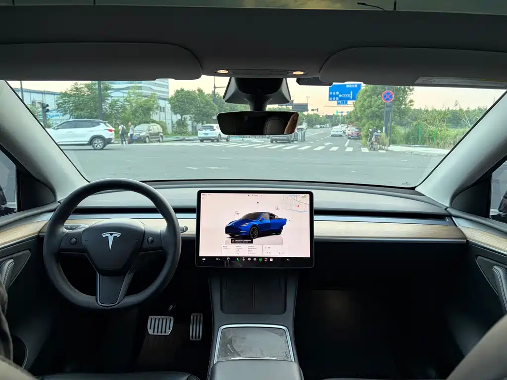 Tesla Model Y — миниатюра 6